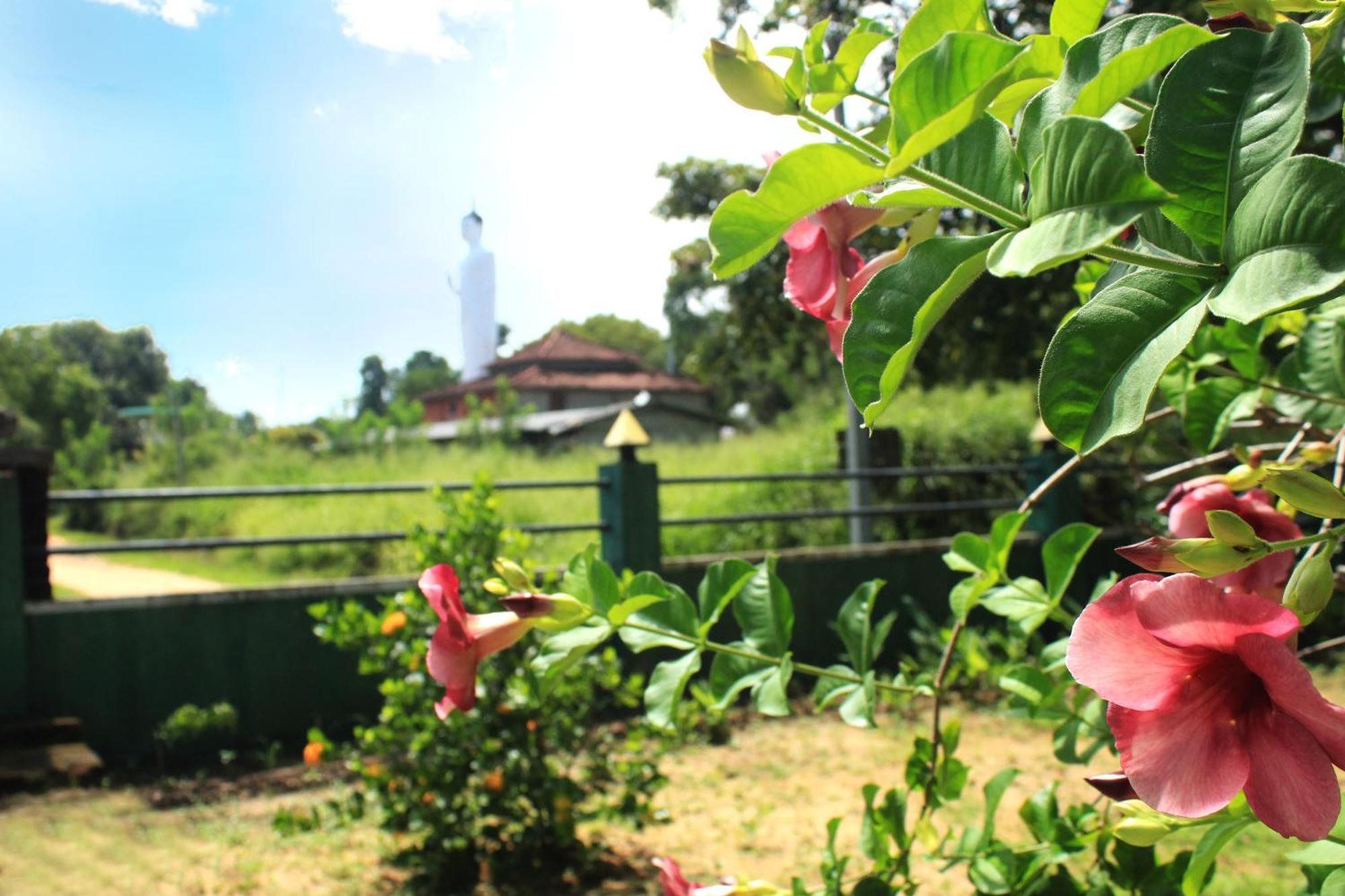Green Hut Nature Resort Sigiriya Exterior photo